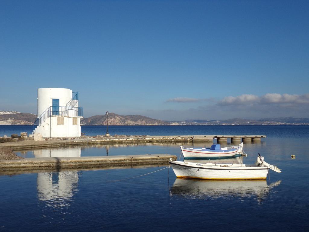 Palirroia *